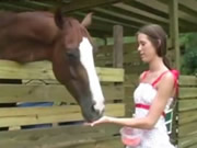 Ragazza che alimenta il cavallo